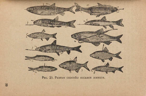 Кунилов Ф.П. Справочник рыболова-спортсмена. Л.-М.: Всесоюзное кооперативное объединенное издательство (КОИЗ), 1939.